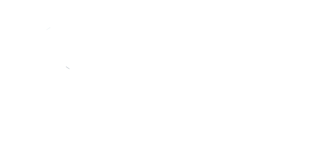 High Bridge Management Academy